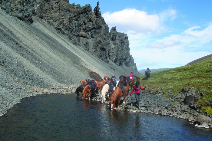 Íslandshestar Iceland Horse Riding Vacations