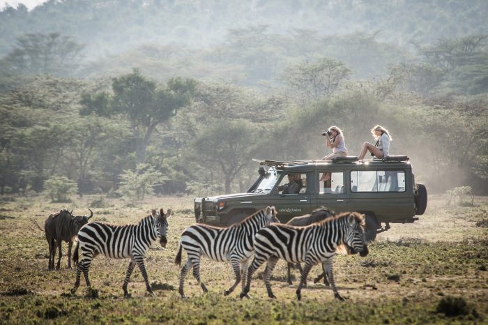 Safaris Unlimited
